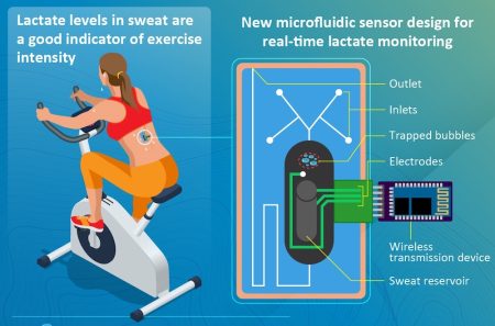 Editors Blog &#8211; Sensor technologies monitor energy without breaking a sweat, Softei.com - Global Electronics Industry News